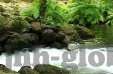 竞彩足球比分直播新浪-深度解析，新浪竞彩足球比分直播——球迷的实时观赛新体验