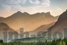 开云体育官方app-抓住趋势，体验卓越——开云体育官方app的革新之旅